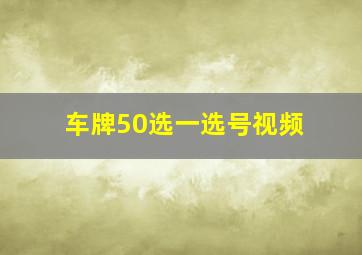 车牌50选一选号视频