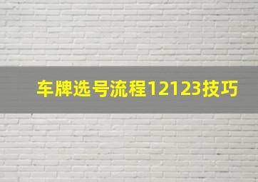 车牌选号流程12123技巧