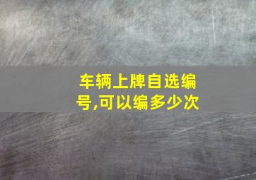 车辆上牌自选编号,可以编多少次