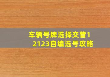 车辆号牌选择交管12123自编选号攻略