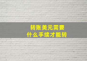 转账美元需要什么手续才能转