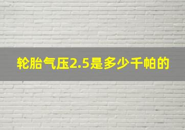 轮胎气压2.5是多少千帕的