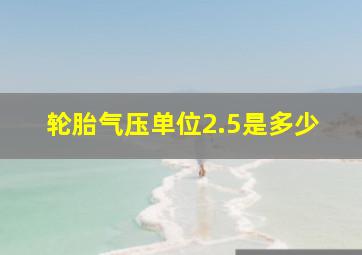 轮胎气压单位2.5是多少