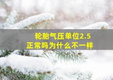 轮胎气压单位2.5正常吗为什么不一样