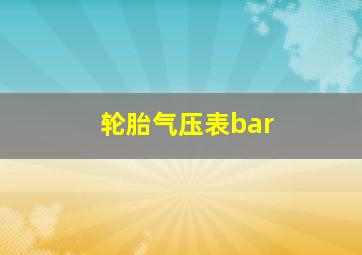 轮胎气压表bar