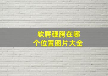 软腭硬腭在哪个位置图片大全