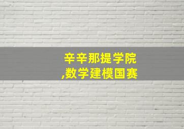 辛辛那提学院,数学建模国赛