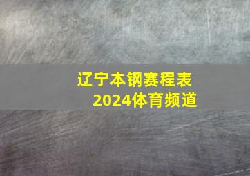 辽宁本钢赛程表2024体育频道