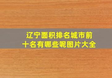 辽宁面积排名城市前十名有哪些呢图片大全