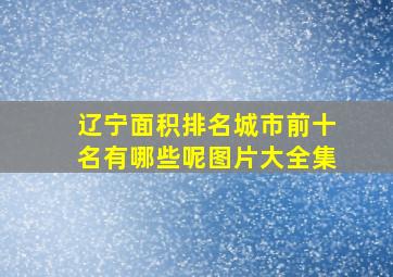 辽宁面积排名城市前十名有哪些呢图片大全集