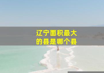 辽宁面积最大的县是哪个县