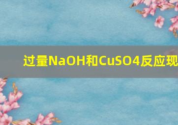 过量NaOH和CuSO4反应现象