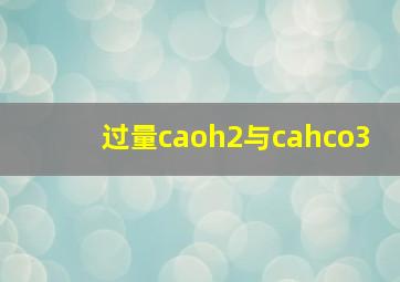 过量caoh2与cahco3