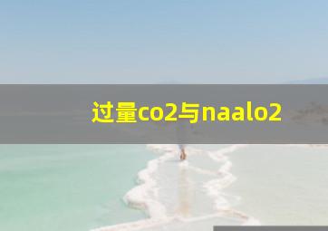 过量co2与naalo2