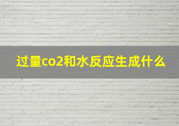 过量co2和水反应生成什么