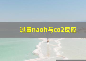 过量naoh与co2反应