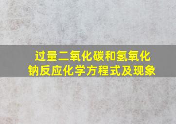 过量二氧化碳和氢氧化钠反应化学方程式及现象