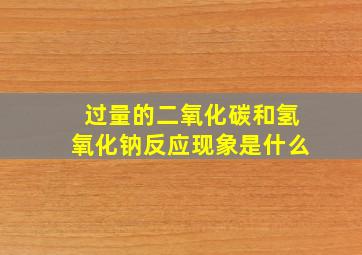 过量的二氧化碳和氢氧化钠反应现象是什么