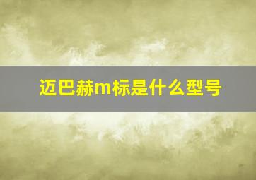 迈巴赫m标是什么型号