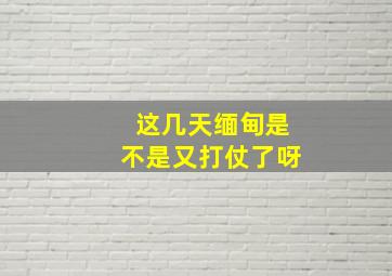 这几天缅甸是不是又打仗了呀