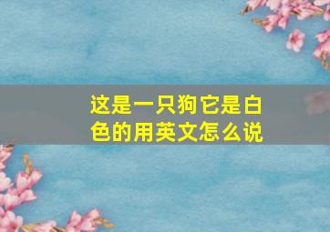 这是一只狗它是白色的用英文怎么说