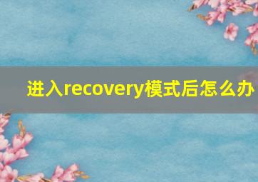 进入recovery模式后怎么办