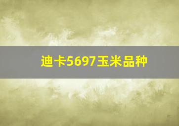 迪卡5697玉米品种