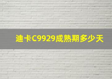 迪卡C9929成熟期多少天