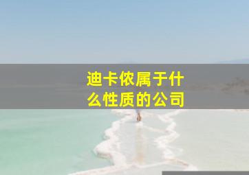 迪卡侬属于什么性质的公司