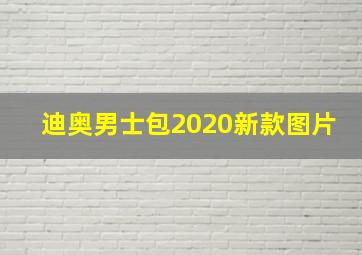 迪奥男士包2020新款图片