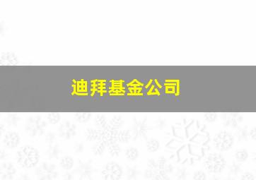 迪拜基金公司