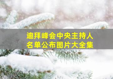 迪拜峰会中央主持人名单公布图片大全集