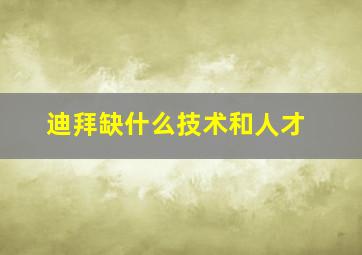 迪拜缺什么技术和人才