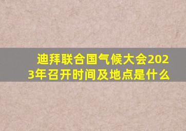 迪拜联合国气候大会2023年召开时间及地点是什么