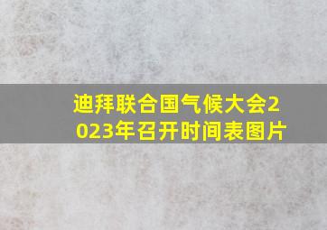 迪拜联合国气候大会2023年召开时间表图片