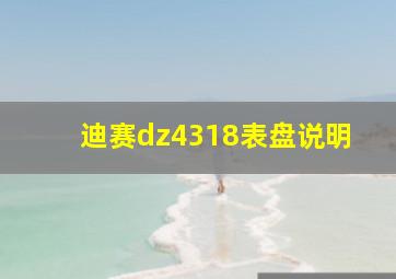 迪赛dz4318表盘说明