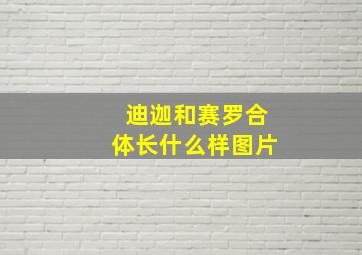 迪迦和赛罗合体长什么样图片