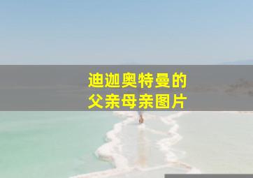 迪迦奥特曼的父亲母亲图片