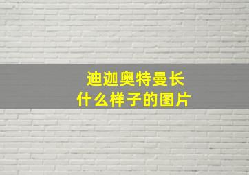 迪迦奥特曼长什么样子的图片