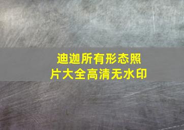 迪迦所有形态照片大全高清无水印