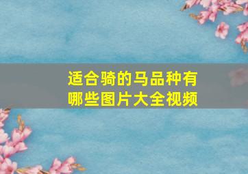 适合骑的马品种有哪些图片大全视频