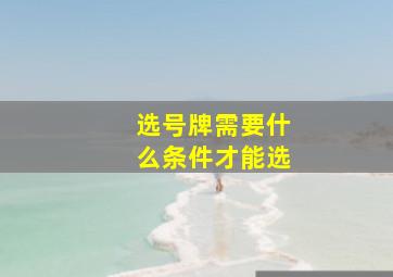 选号牌需要什么条件才能选