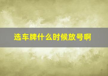 选车牌什么时候放号啊