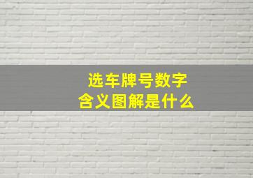 选车牌号数字含义图解是什么