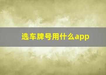 选车牌号用什么app