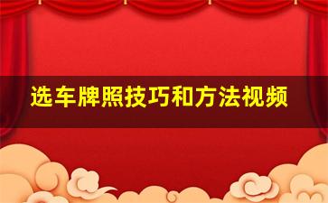 选车牌照技巧和方法视频