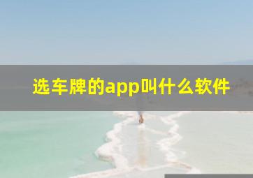 选车牌的app叫什么软件