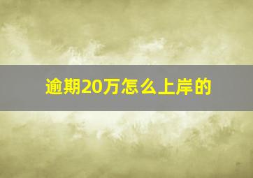 逾期20万怎么上岸的