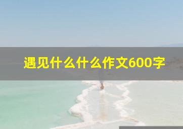 遇见什么什么作文600字