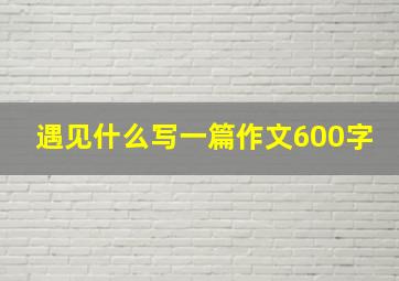 遇见什么写一篇作文600字